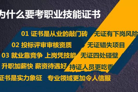 职业技能等级