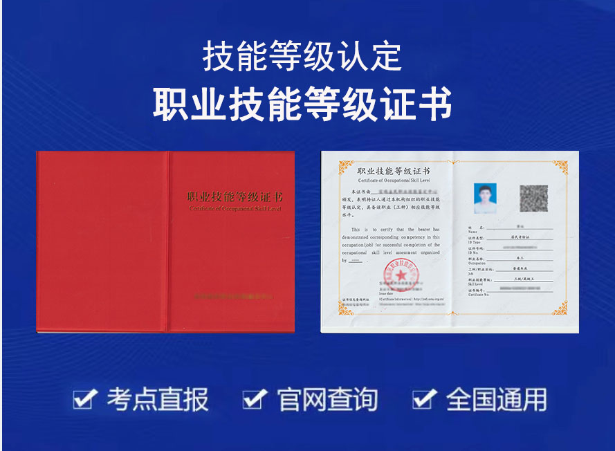 职业技能等级